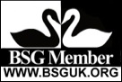 bsg-web-member-logo